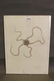A watercolour of a starfish, signed Walter Spies 1922,