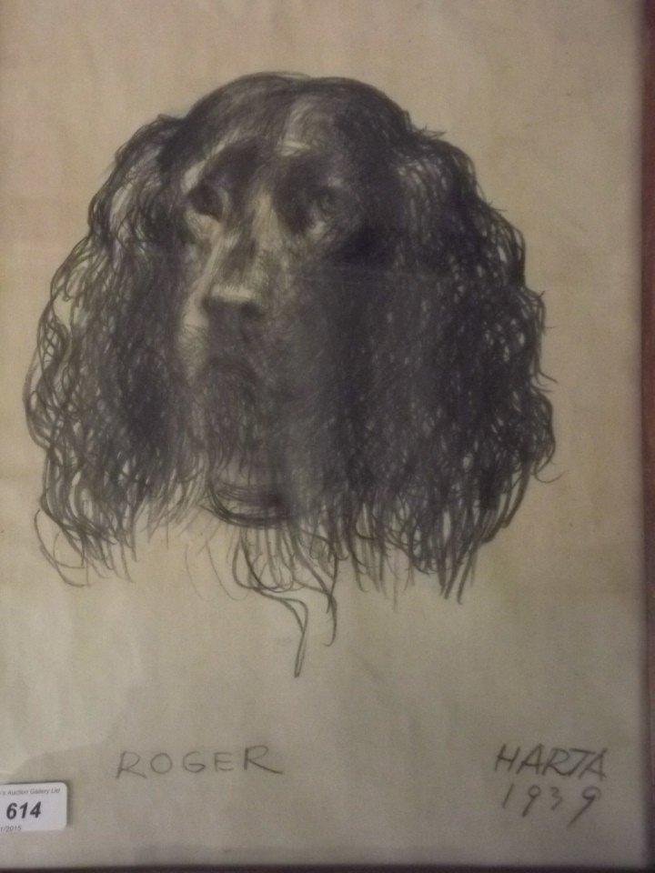 A pencil drawing of a spaniel's head, 'Roger', signed: A pencil drawing of a spaniel's head, 'Roger', signed Harta, dated 1939, 17'' x 12½''