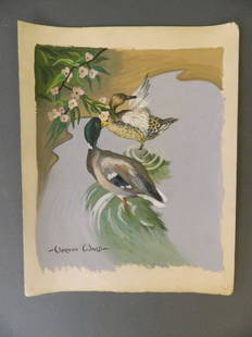 Vernon Ward, signed gouache, study of a mallard at the: Vernon Ward, signed gouache, study of a mallard at the water's edge, unframed, 12'' x 15''