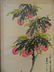 A large Chinese watercolour scroll decorated with a - 2