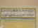 An Eastern watercolour, Asiatic pheasants, with Islamic - 3