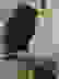 item-51034083=2