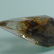 NATURAL TITANIUM CRYSTAL - 5