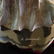 BRONZE & IVORY FIGURE BATWOMAN - 6