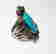 item-128525485=3