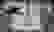 item-51236051=5