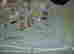 item-53012566=3
