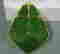 item-53012591=5