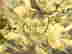 item-53012769=6