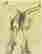 item-53012856=2