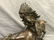 Carl Kauba (1865 - 1922) Bronze. - 2