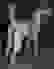 item-53899344=3