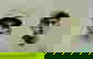 item-470263=5