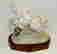 item-2721831=2