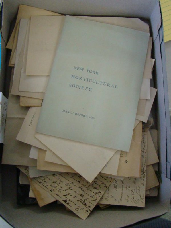 19th century Paper and Check Lot. - 2