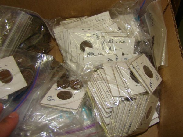 Estate Indian Penny Collection. - 2