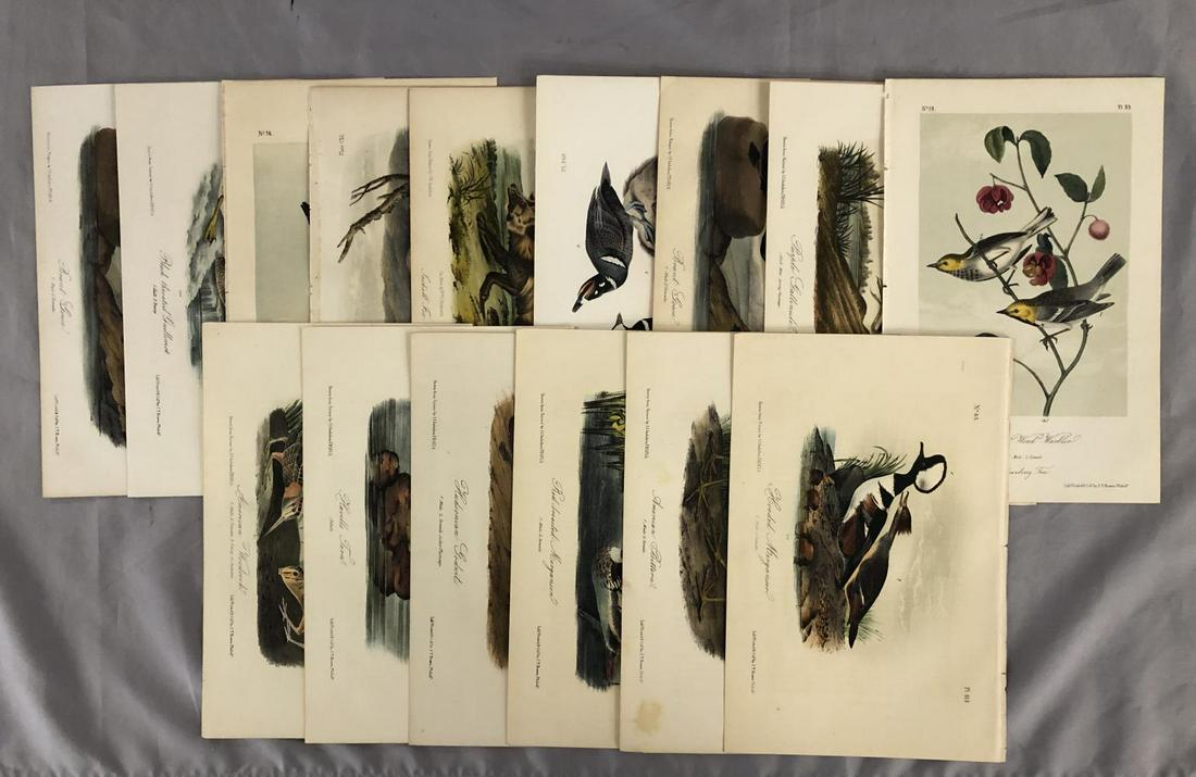 Group of (15) Hand Colored Audubon Octavo Prints (1 of 17)