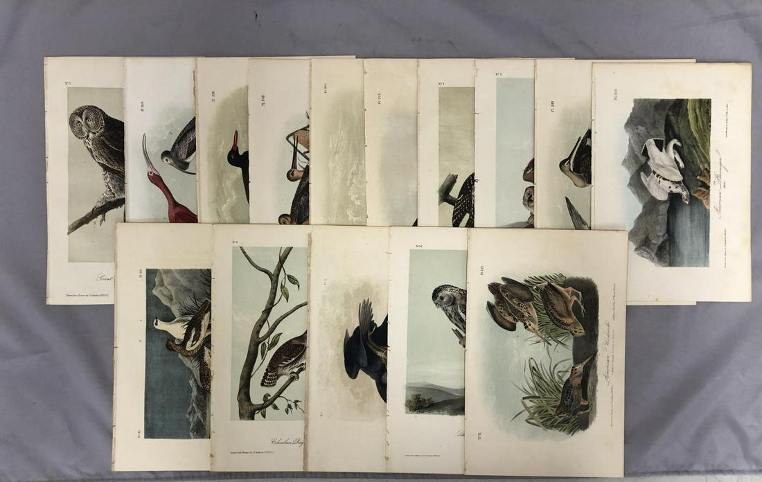 Group of (15) Hand Colored Audubon Octavo Prints (1 of 16)