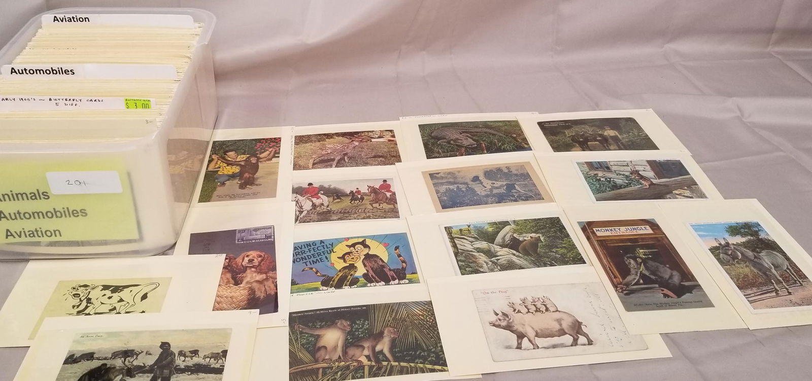 Postcard Lot Includes Aviation. (1 of 5)