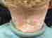 item-130617556=6