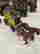 item-130617761=2