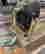 item-137114055=6