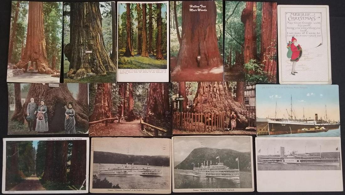 Estate Post Card Lot. (1 of 6)