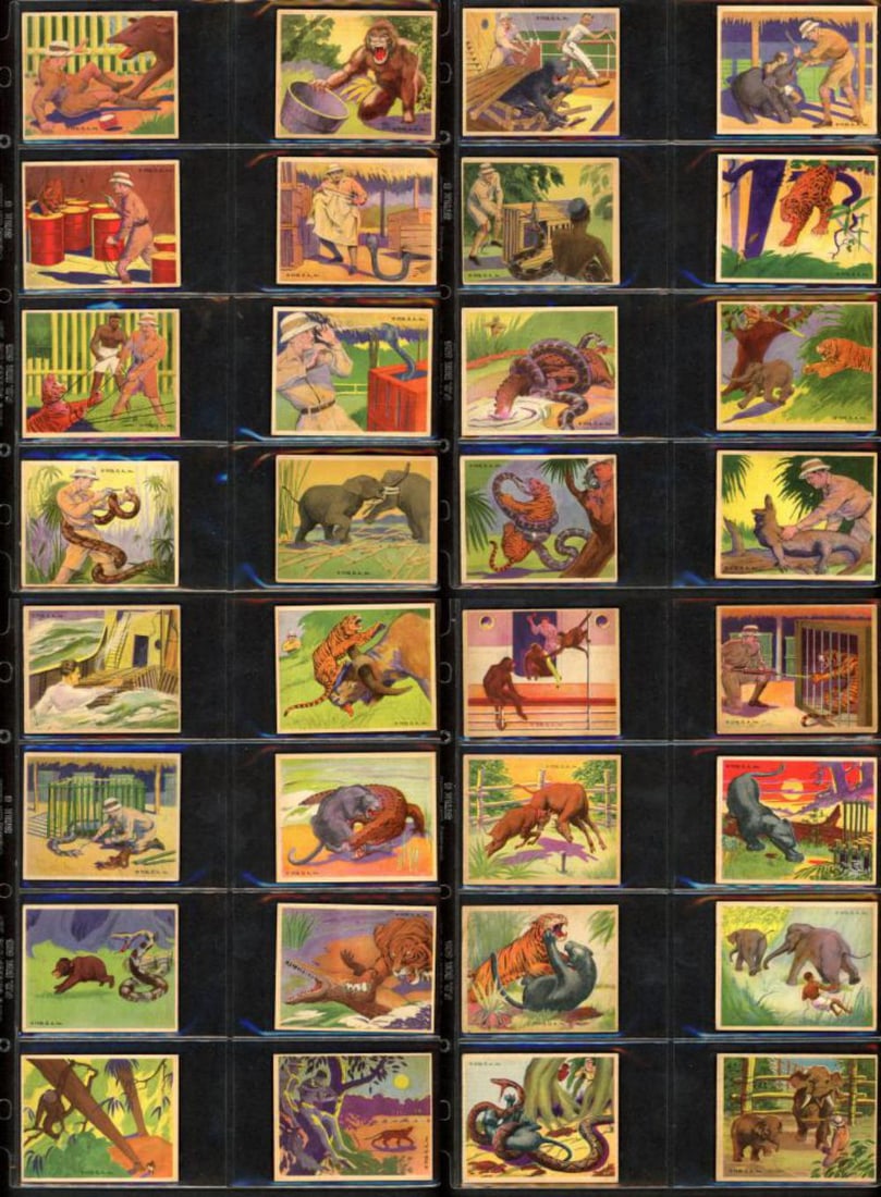 1938 R55 Gunmakers "Frank Buck" Complete Card Set (1 of 8)