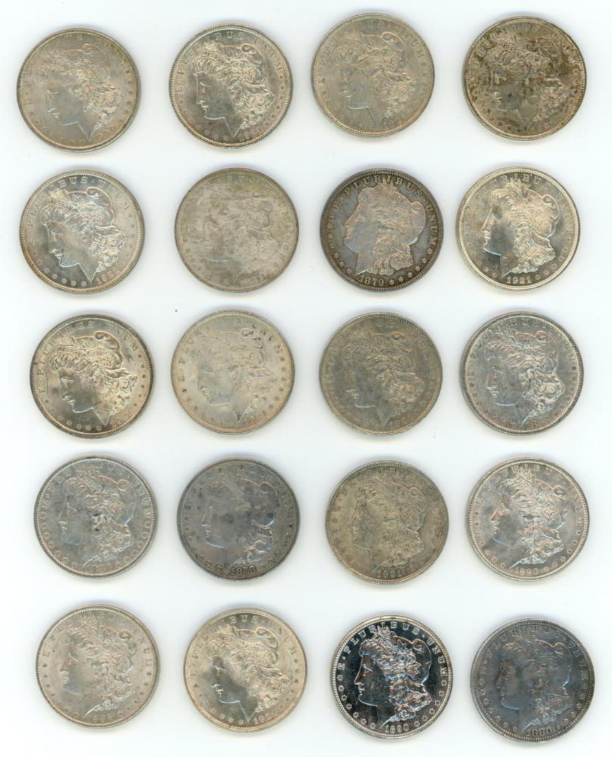 (20) Morgan Dollars (1 of 2)