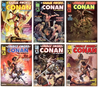 Savage Sword of Conan Magazine Box Group