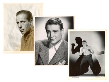 Fabulous Collection of Celebrity Photos
