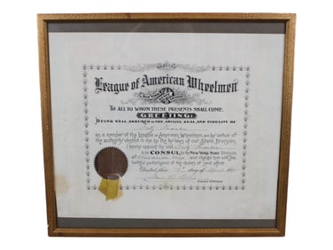 NY League of American Wheelmen Consul Appointment