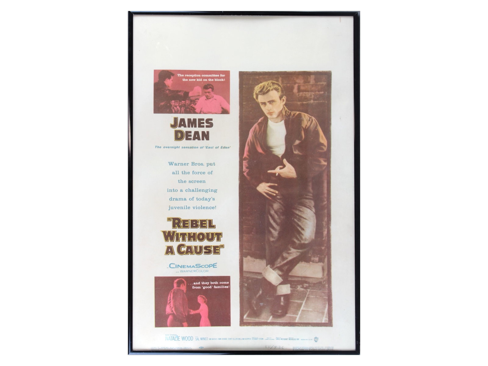 James Dean Rebel Without a Cause Window Card: 14" by 22" Window Card. Warner Brothers, 1955. Original movie window card featuring the iconic James Dean, released just one month after his untimely passing.