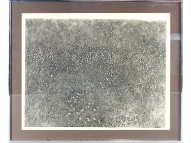 Richard Claude Ziemann, "Coreopsis", Etching