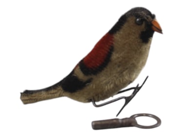Early Wind Up Bird
