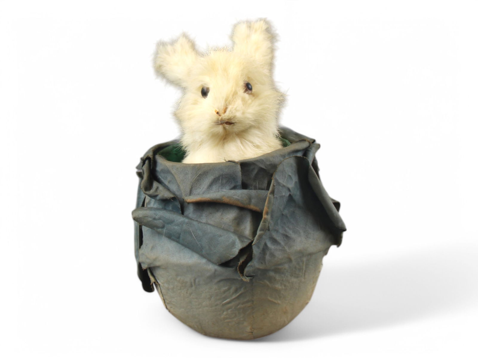 Descamps Rabbit in Cabbage Automaton (1 of 6)