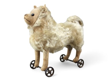 Dog on Wheels