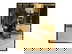 item-209789532=3