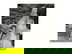 item-209789543=12