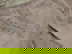 item-209789572=6