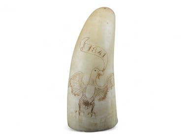 Small Scrimshaw Whale Tooth w/Eagle 1841