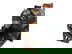 item-210010117=4
