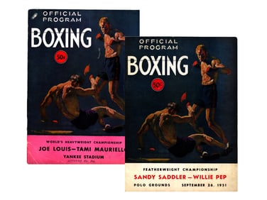 (2) Boxing Programs