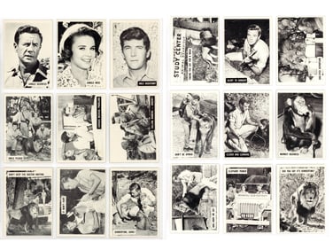 1966 Daktari Complete Set of 66 Cards