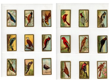 T42 Mecca Birds Complete Set (100)