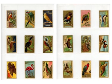 (110) 1910 T42 Mecca Birds Cards
