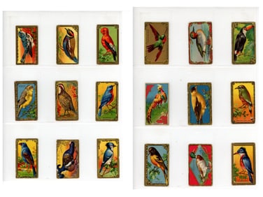 1910 T43 Fancy Birds Set (30) + (51) Extras