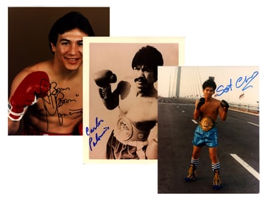 Boxing Autograph Lot