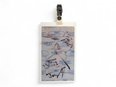 Aerosmith Signed 1994 Sam Goody VIP Badge