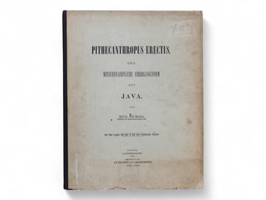 Eugene Dubois. Pithecanthropus Erectus.